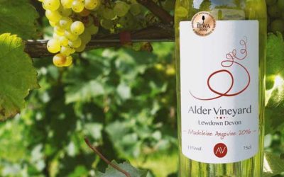 Alder Vineyard - Wine tours on Dartmoor - Wine tasting in Devon