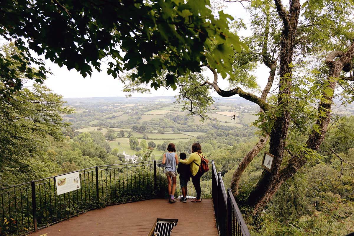 Canonteign Falls Natural Visitor Attraction on Dartmoor