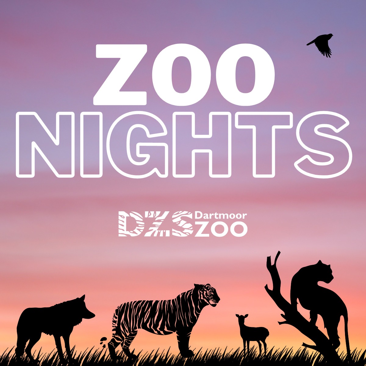 Zoo Nights VisitDartmoor