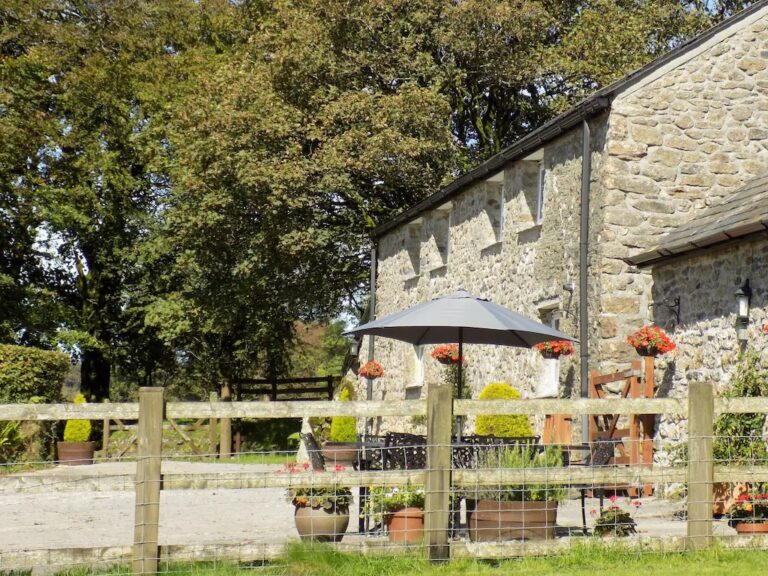 Lydford Gorge National Trust Venue Dartmoor Historic Site lydford-gorge-national-trust-venue-dartmoor-historic-site