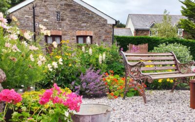 Lobhill Stable Self Catering Cottage Devon