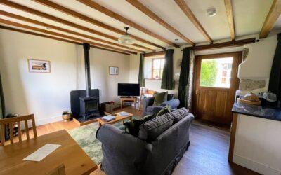 Widecombe Cottage - Living room