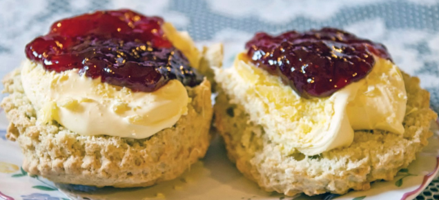 Free cream tea