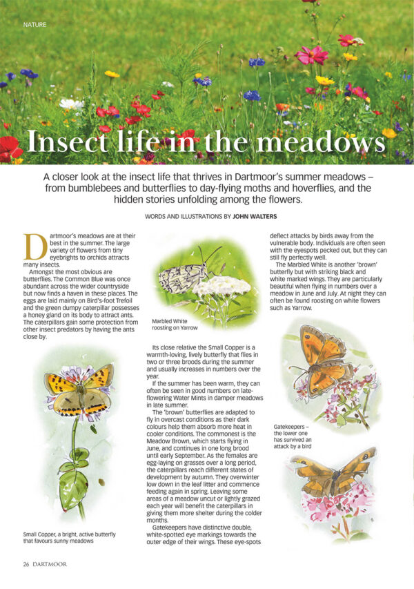 Dartmoor Magazine - Image 5