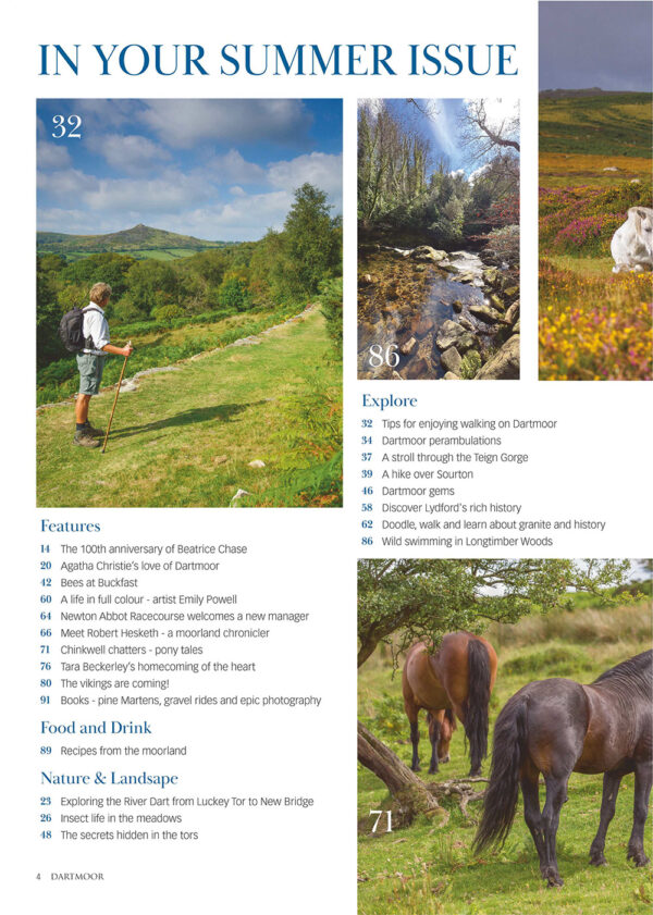 Dartmoor Magazine - Image 2