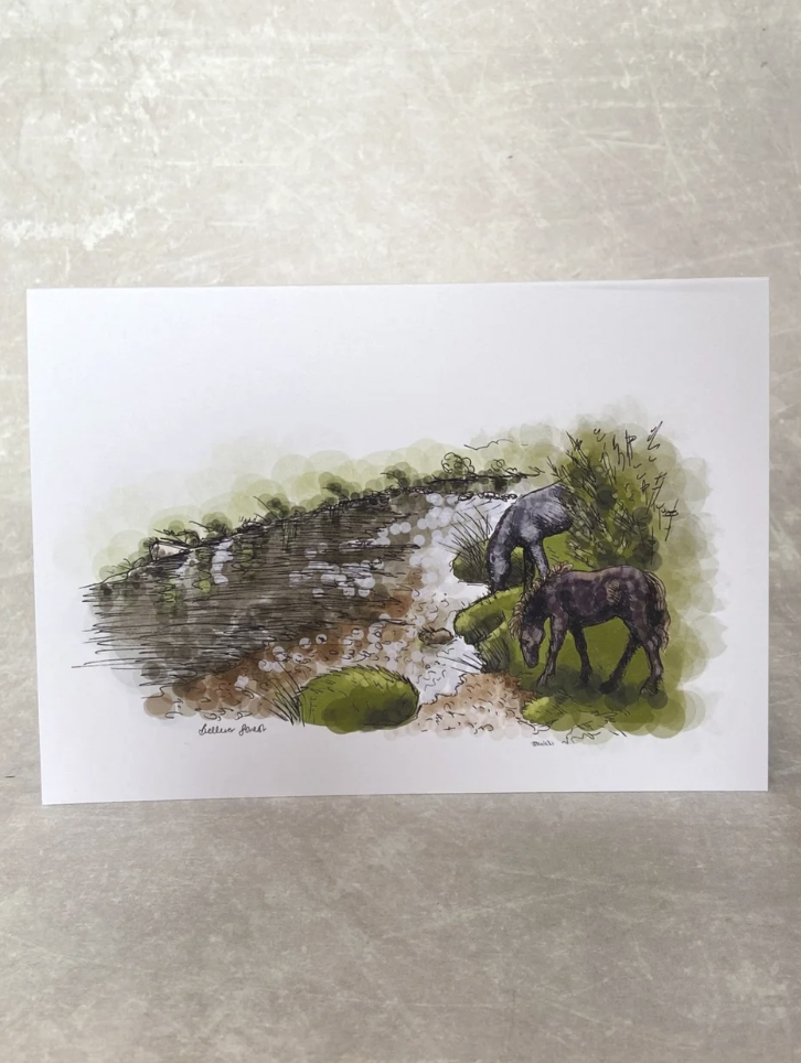 Dartmoor Ponies grazing at Bellever