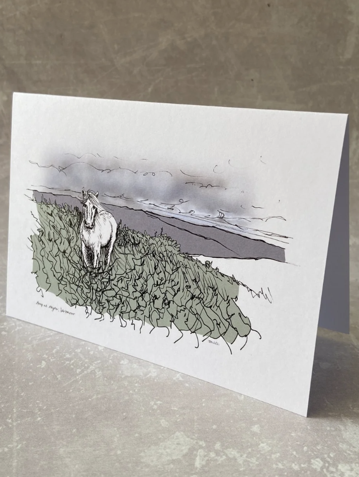 Pony in swaling area at Haytor