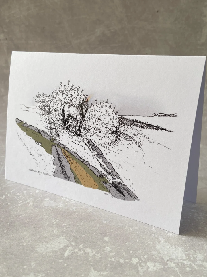 Pony sheltering on Granite Tramway