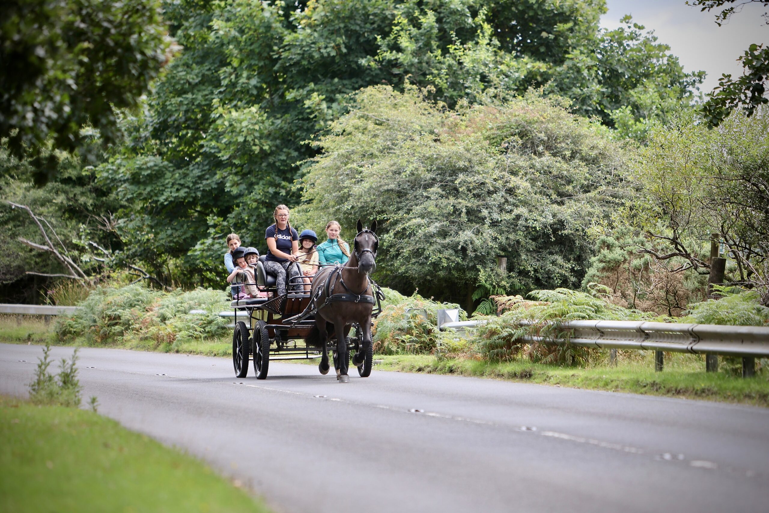 Dartmoor Carriages