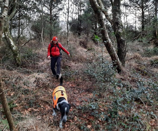 Dartmoor Rescue Group - VisitDartmoor