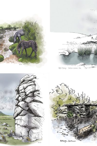 Cards featured image