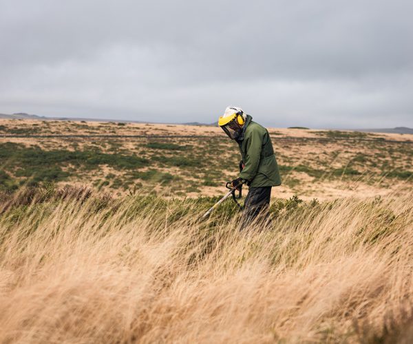 Dartmoor-preservation-association-3